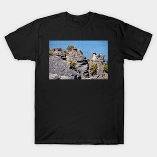 Nouvelle Zélande - Punakaiki, Les Pancakes T-Shirt